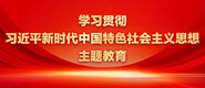 好牛b叉影视学习贯彻习近平新时代中国特色社会主义思想主题教育_fororder_ad-371X160(2)